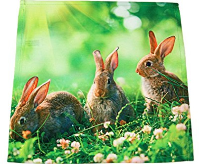 Tischdecken OSTERN 3 Hasen Wiese grün braun Fotodruck modern Polyester Osterdecke Ostertischdecke (Deckchen 40x40 cm)