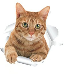 WINOMO Sticker Chat Toilette Amovible en PVC Autocollant Mural 3D pour Siège de toilette ou salle de bain