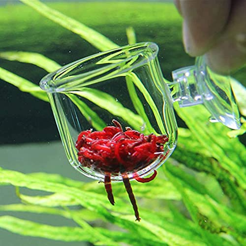 CENPEK 2 tazas de vidrio para acuario, taza de cono para plantas, salmuera, camarones, gusanos rojos vivos, alimentador de peces para acuarios con ventosa
