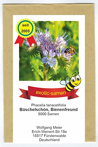 Büschelschön - Bienenfreund - Bienenweide - Phacelia - 5000 Samen