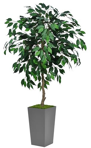 ASTIDY Künstlicher Ficus-Baum, 1,5 m – künstlicher Baum für den Innenbereich mit grauem hohem Pflanzgefäß – künstlicher Ficus-Bodenpflanze – künstlicher Seidenbaum für Zuhause, Büro, Wohnzimmer,