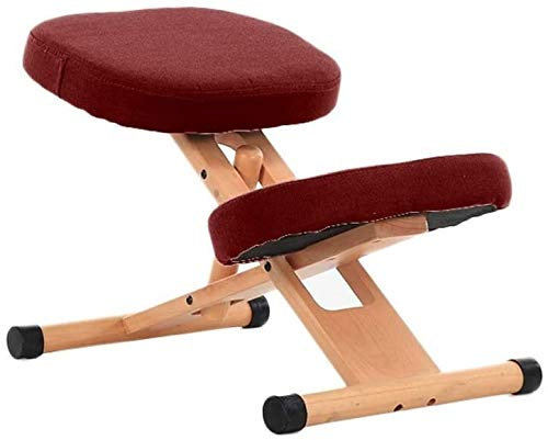 ZENFEKU Ergonomischer Ergonomie-Bürostuhl, Fitnessstuhl, Computerstuhl, Kniepolster, Büro, hohes elastisches Kissen