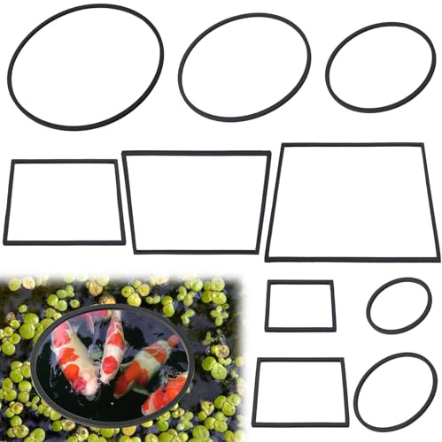 Deozu Lot de 10 anneaux d'alimentation pour poissons - Rond et carré flottant - Corral pour plantes d'aquarium, Betta (noir)