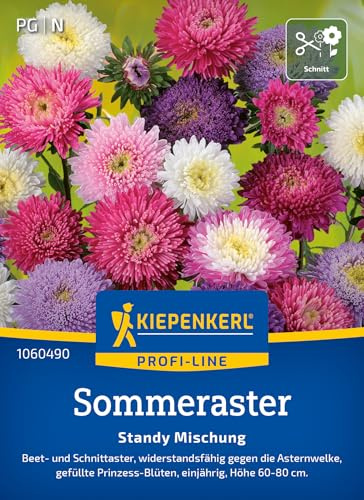 Kiepenkerl Sommerastersamen Standy Mischung 1060490, Blumensaat | Blumenmischung, Höhe 60-80 cm, für Beet & Schnittblumen