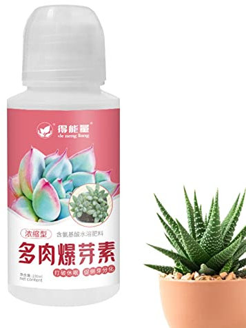 Sollee 100 ml Sukkulenten-Wurzel-Booster Flüssig-Sukkulenten-Nahrung Flüssig-Sukkulenten- und Kaktus-Pflanzen-Nahrung Sukkulenten-Dünger Pflanzen-Flüssig-Nahrung für Pflanzenwachstum