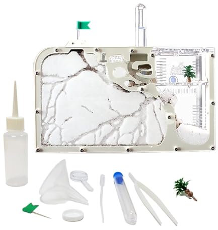 REEKOS Ameisenhaus Ameisenfarm Ameisenburg Sandameisenfarm, Ameisenburg, Lebensraum Für Insekten, Ameisenkolonie, Ökosystem, Wissenschaft, Bildung Ameisennest Ameisen Zucht Box
