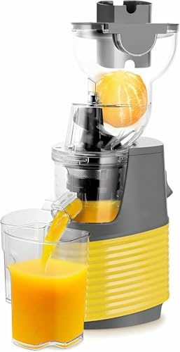 YGHBFRSZ Machines À Exécution Multifonctionnelle, Spermider De Masse Lente De 76 Mm De Diamètre, Slow Professional Squeezer, Cold Press À Mastiquer Spermider, pour Les Fruits De Légumes