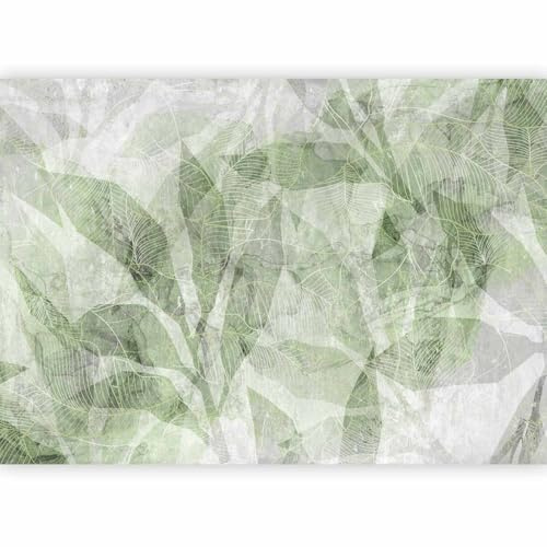 murando PREMIUM Papier peint Feuilles 350x256 cm Décoration Murale XXL Poster Tableaux Muraux Tapisserie Photo Nature Jungle Végétaux Aspect Béton vert gris a-C-10070-a-b