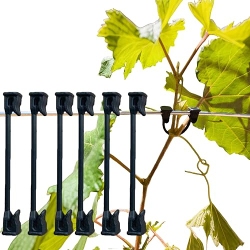 Tomate, Traube, Himbeere, Kiwi Rankenclip Garten Pflanze Stützclip Gemüse Fester Haken Pflanzenschloss Rankenschnalle geeignet für 9#-12# Draht (200)