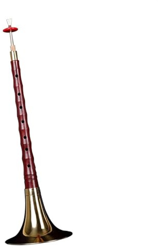 Palisanderstange Messingschale High-End-Suona-Suona-Horn Für Erwachsene, Chinesisches Ethnisches Blasinstrument Suona Set (Color : B flat)