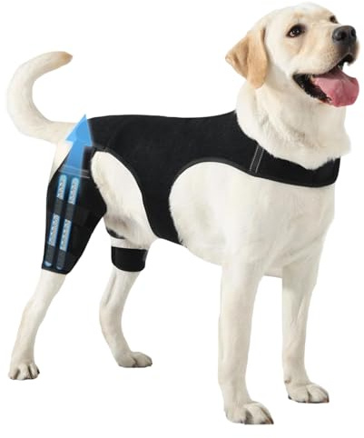 Generisch Knie Bandage Für Hunde, Einstellbare Wickelgelenkmanschette, Hunde-Hinterbeinbandage Mit 4 Metallenen Stabilisatoren, Für Spaziergänge Wandern Aktivitäten Im Freien Park Reisen Zuhause