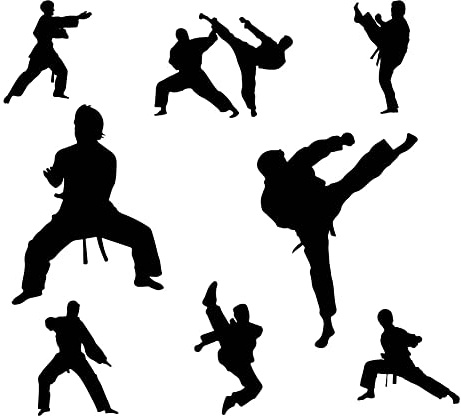 SUPERDANT Taekwondo Sport Wandtattoo Taekwondo Silhouette Jungenzimmer Wandaufkleber Vinyl Sport Wanddekoration DIY Wandbilder Wandkunst Für Baby Kinderzimmer Schlafzimmer Wohnzimmer Zuhause
