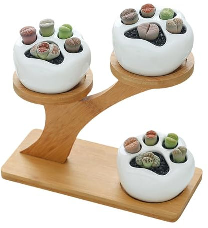 Eoixuqba Macetas suculentas con drenaje,Maceta para plantas suculentas | Maceta pequeña para cactus con soporte | Pequeña maceta de flores de cactus suculentas para decoración de jardín, cocina, hogar