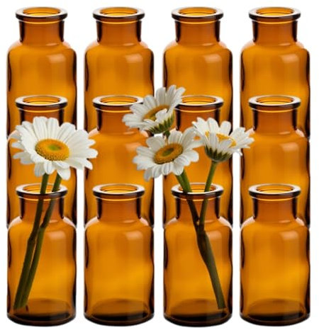 gouveo 12er Set Glasvasen Clear-Bottle Antik 250 - Runde Blumenvasen aus Glas - Deko-Vasen für Zuhause, Hochzeiten, Geburtstage, Feste