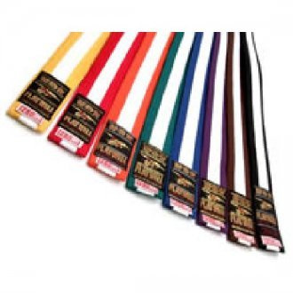 Playwell Martial Arts 280CM Coloured Belt With White Stripe (Brown)
