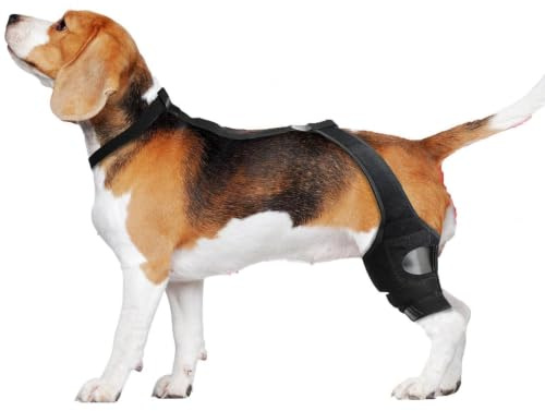Dog Knee Brace | Back Leg Support Brace | Non-Slip Pet Knee Sleeve | Leg Hock Wrap Sleeve for Injury Recovery, Weakness, Fixation, Mobility Support, Leg Sleeve Protector, Adjustable Strap