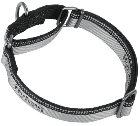Hyhug Martingale Nylon Klassische Halsbänder ，Anti-Flucht Hundehalsband. 3M Reflektierender Streifen, Komfortabel Verstellbar, Sicherer Nachtspaziergang