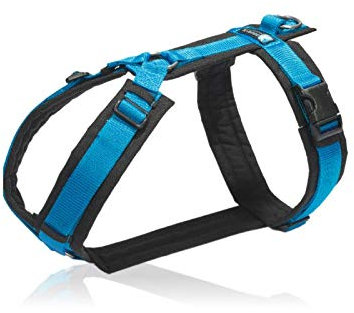 anny-x Brustgeschirr Fun schwarz blau - Gr. L