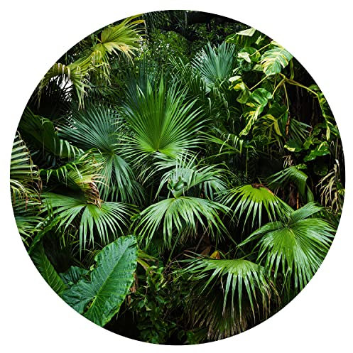 murando - Fototapete selbstklebend grüne Blätter, 125x125 cm, Schlafzimmer