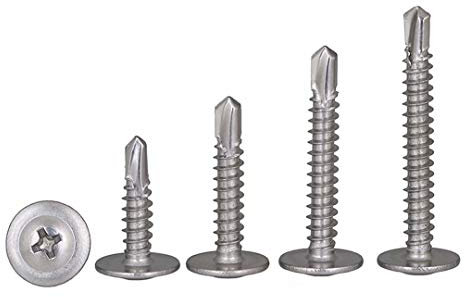 BOZONLI M4.8 Vis Autotaraudeuse Auto-perceuses Phillips tête bombée Plate avec rondelle Vis à Tôle pour Fixation de Tôle, M4.8×25mm,20 pcs