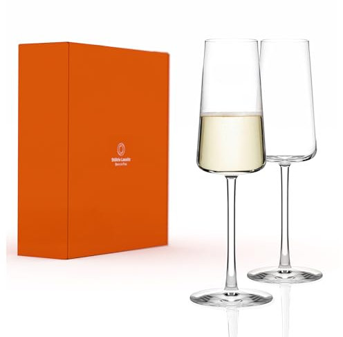Stölzle Lausitz Coppe Champagne Power Set di 2, 275 ml – Eleganti Bicchieri in Cristallo per Champagne, Spumante & Prosecco – Alta Qualità Made in Germany – Lavabili in Lavastoviglie