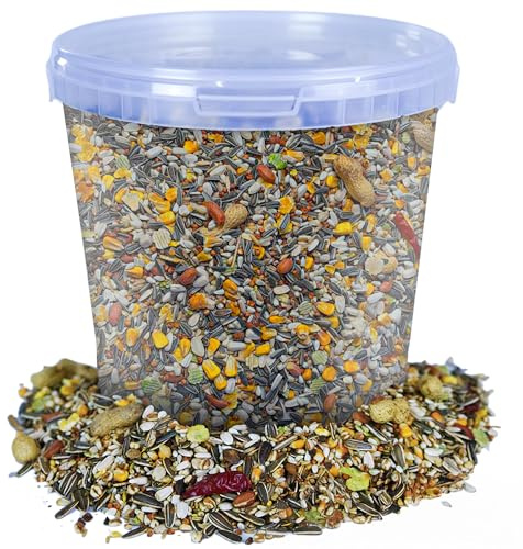 BusyBeaks African Grey Parrot Food | High Energy & Protein NO1 Mix | Nutritious Wild Garden Bird Feed | Additive Free Cleaned to 99.9% Purity | Provides Both Mental and Physical Stimulation (5L Tub)