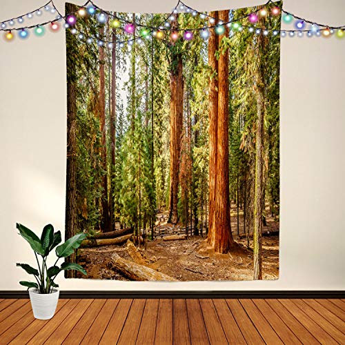 BaoNews Viridian Nature Sequoia Tapestry,Wood Red Forest Jungle Large Wall Hanging Polyester Tablecloths Tapestry Bedroom Room Living Room Dorm 82 7 x 59 1 Inches