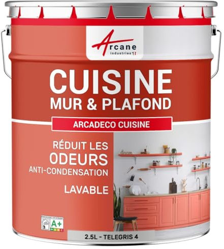 Peinture cuisine, lessivable, absorbe les odeurs - 2.5 L Telegris 4 - RAL 7047 - ARCANE INDUSTRIES