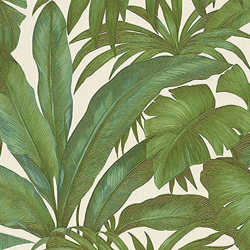 Versace Green Palm Leaf Wallpaper Extra Wide Textured Vinyl Paste the Wall