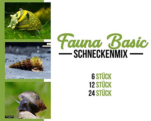 Garnelen Schnecken Mix - Fauna Basic - Aquarium Schnecken - Bodenpflege Trupp, Menge:12 STK.