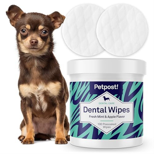 Petpost | Lingettes dentaires pour chiens - Dites adieu à la mauvaise haleine, à la plaque et aux caries - 100 lingettes imbibées d'une solution lavante naturelle