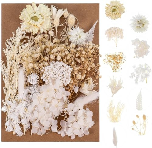 Getrocknete Blumen,Trockenblumen Zum Basteln Mini Trockenblumen Set für DIY Epoxidharz Scrapbook Zubehör Handgemachte Heimdekoration Hochzeit
