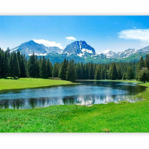 murando - Vlies Fototapete Landschaft 350x270cm - Foto Tapete Schlafzimmer Wohnzimmer Moderne Vliestapete XXL Wandtapete Motivtapeten 3d Effekt Wand Dekoration - Natur Wald Fluss Gebirge 100403-127