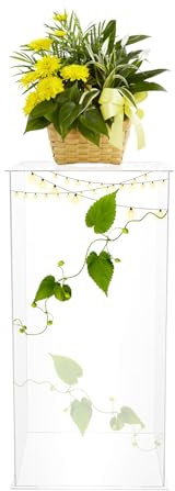 POTYYH Acryl Vitrine 30x30x60 cm, Acryl-Displaybox Freistehend Klar Vitrinen bis 3kg Transparent Schaukasten für Hochzeit, Partys, Geburtstage, Feiern, Wohnraumdekoration