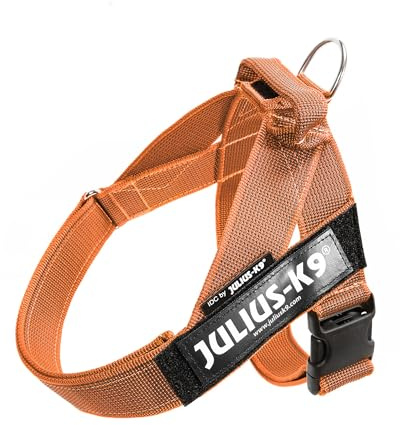 Julius-K9, IDC-färg och grått bältessele, storlek: M/0, orange-grå