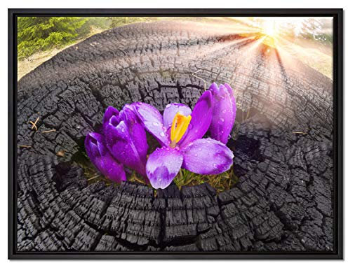 Pixxprint Die Kraft der Natur Leinwandbild 80x60 cm im Bilderahmen, Wandbild, Schattenfugenrahmen, Kein Poster