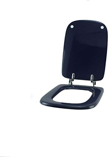 Copriwater Ideal Standard CONCA MIRTILLO Cerniera Cromo-Sedile-Asse Wc