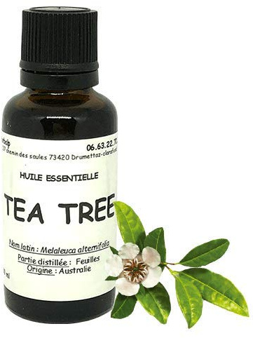 Huile essentielle de Tea tree - arbre à thé (10 ml) Melaleuca alternifolia