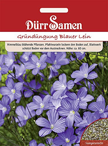 Dürr-Samen - Gründüngung Blauer Lein 60 g Saatgut