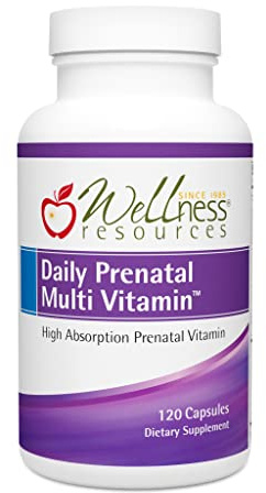 Wellness Resources Daily Prenatal Multi Vitamin - Methylated Folate Zinc Iron Bisglycinate Choline & Key Nutrients - Natural Prenatal Postnatal Postpartum Vitamins for Women - 120 Caps
