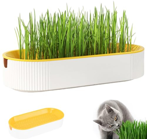 Hotainoys Cat Grass Planter, Removable Mesh Hydroponic Pots with Water Level Viewing Port, Healthy and Safe Cat Supplies, No Seeds Included Seed Planter