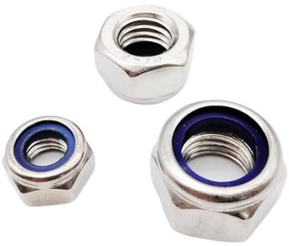 AZSHIW Kompatibel mit M2,5 M3, M4 M5 M6 M8 M10 M12 M16 304 Edelstahl Schwarz Nylock Mutter Kontermutter Sechskant Nylon Einsatz Selbstsichernde(304 stainless steel,M16 2pcs)