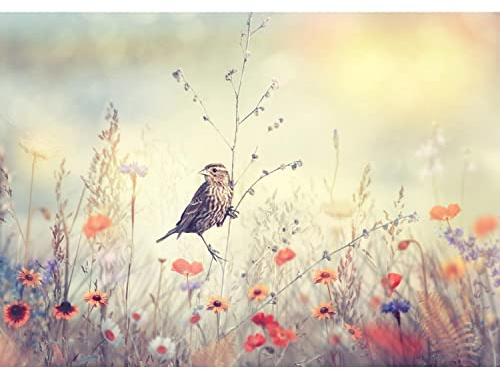 Runa Art Carta da parati fotografica 396 x 280 cm Fiore prato uccello | Vello Decorazione Murale Soggiorno Camera Da Letto | Manifattura tedesca | Colorato 9334012a
