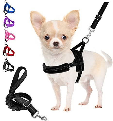 Eyein Dog Harness Small Dog, Anti Pull Heavy Duty Dog Harness and Lead Set, Easy for Walk Vest Harness Soft Padded Reflective Adjustable Anti-Twist Pet Lead Quick fit for Small Puppy Dog Cat(XXS)