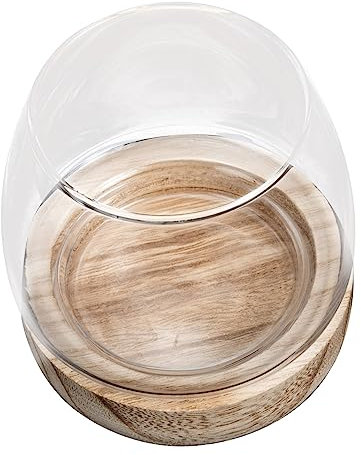 Yardwe Mikro Landschaftsflasche Glas Fischschale Aufbewahrung Blumentopf Hydroponik Dekoration Rund für Zuhause Hotel Esszimmer Wohnzimmer Schlafzimmer Badezimmer 1 Stück