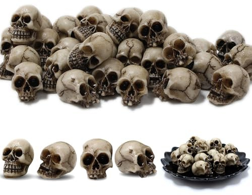 FENGCHUANG Teschio 20 Pezzi Resina Teschio Decorativo, Halloween Decorazione, Adatto per Halloween, Carnevale, Decorazioni per Feste, Feste Horror, Decorazioni per Vasi di Fiori