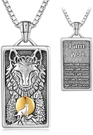 DAYLINLOVE Männer Halskette 925 Sterling Silber Cool Schmuck Geschenke für Männer