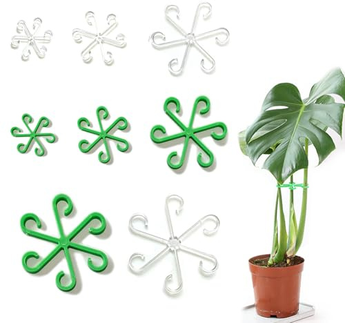RHQFDM Lot de 20 supports de plantes - 4 tailles - Pour plantes d'intérieur - Roses et Monstera - Réutilisables - Pour plantes d'hortensia - Transparent et vert