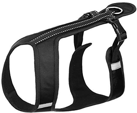 Northern Howl Canicross Hunde Zuggeschirr in Schwarz mit Reflektoren