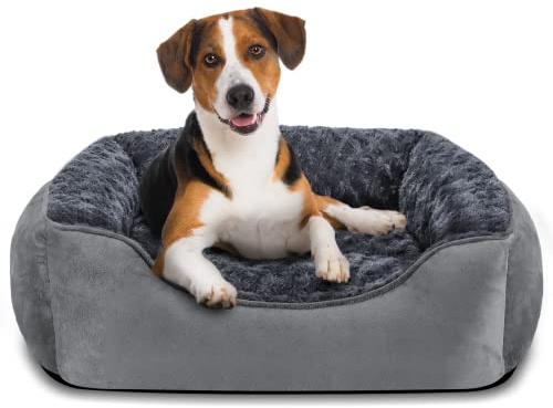JOEJOY Hundebett Hundekorb Waschbar Hundekörbchen rutschfeste Hundebetten Flauschig Hundematratze mit Erhöhte Ränder Weiches Hundesofa für Kleine Hunde Katzen M(63x53x20cm) Grau